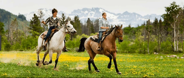 Confident plus-size woman riding Langley a horse through a field with a smile on her face.